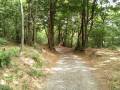 Parco  Capanne di Marcarolo